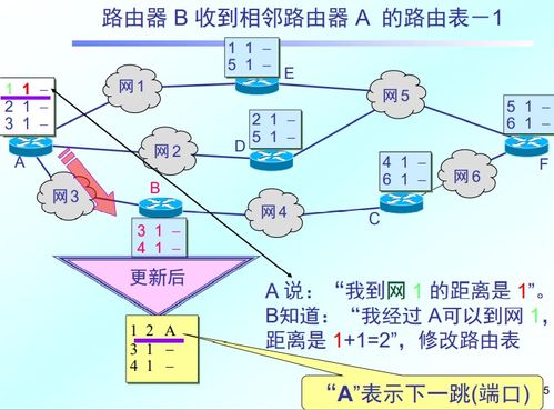 計算機網(wǎng)絡層設計 構建高效可靠的信息傳輸框架